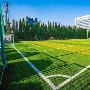 50mm 55mm Football Indoor Outdoor Grass with Good Water Permeability