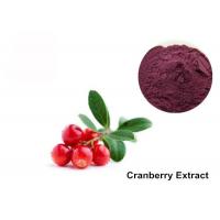 China Cranberry Fruit Purple Red 25% Anthocyanin Extract Powder on sale