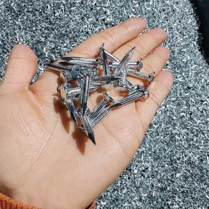 1 Inch - 6 Inch Electro Galvanized Nails Building Galvanized Steel Nails