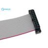 Molex 20P 2.0mm 875682094 Milli-Grid IDT Connector With Center Polarization Key Flat Cable