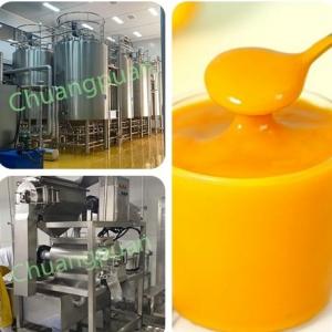 China 20KW Mango Processing Machine Stainless Steel 380V 410V supplier