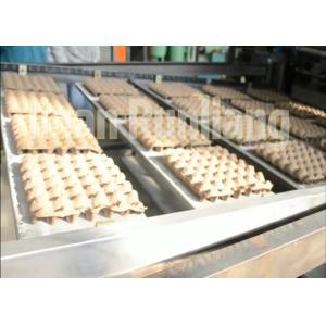China Big Capacity Recycled Pulp Egg Tray Production Line Rotray Type Energy Saving supplier