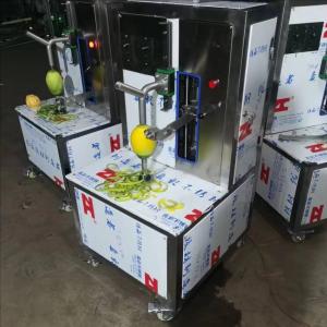 Food Grade Passion Fruit Juice Pulping Machine Automatic Dry Fruit Machine Producer With CE Certificate