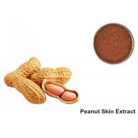 China 95% Proanthocyanidins Peanut Skin Anthocyanin Extract Powder on sale