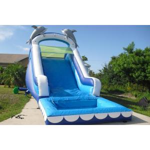 China Play Inflatable Water Slides For Kids / Dolphin Inflatable Pool Water Slide supplier