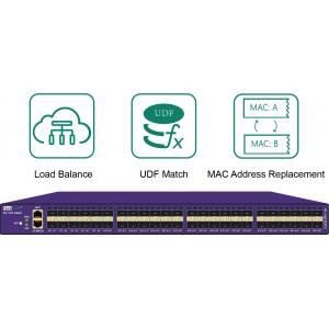 Load Balance Network TAP Network Security Services with UDF Match and Data Filtering