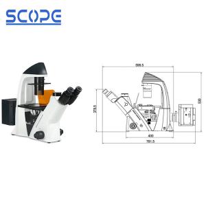 China Infinity Plan Objective Inverted Epifluorescence Microscope , Inverted Optical Microscope supplier