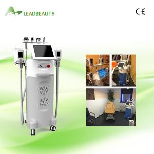 5 Handles fat freezing cryolipolysis slimming machine for weight loss & skin lifting