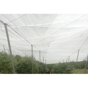 White Agriculture Anti Insect Netting 40 Mesh  1m - 4m UV Resistant