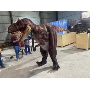 Customization Giant Dragon Animatronic Costume With Voice Control