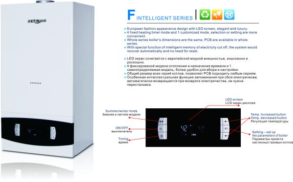Adjustable Thermostat Wall Hung Gas Boiler With Function Of Heating And Domestic Hot Water