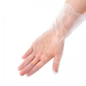 Examination DEHP free Disposable Vinyl Gloves Wholesale Powder Free