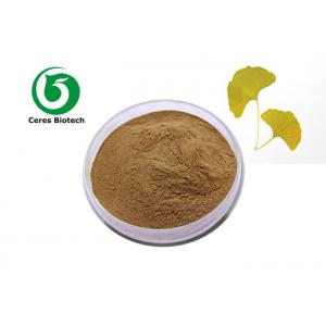 Pure Natural Ginkgo Biloba Extract Powder Flavonoids 24% Ginkgolide 6%