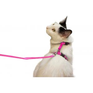 China Small Pet Cat Harness Collar , Adjustable Nylon Cat Collar Easy To Wear supplier