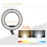 12" LED Ring Light 35W 5500K Dimmable with Stand, Plastic Color Filter, Carrying