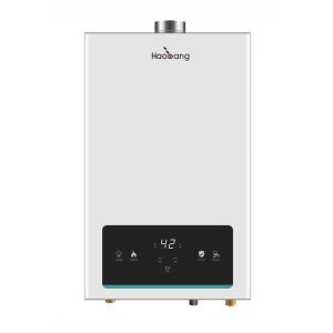 10L Tankless Gas Water Heater Indoor Instant Shower Forced Exhaust Type