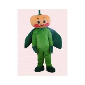 China custom vegetable fancy dress of pumpkin mascot cartoon cosplay costumes for halloween wholesale