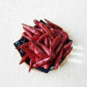 China 7CM Dried Long Red Chillies 50000SHU Dehydrated Tianjin Chili ISO supplier
