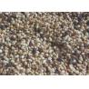 China Agriculture Machine Pine Nut Kernel Color Sorter Nuts Sorting Machine wholesale