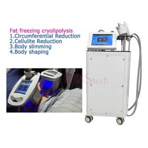 China 4 Handle Fat burning Cryolipolysis Machine For Home Use supplier