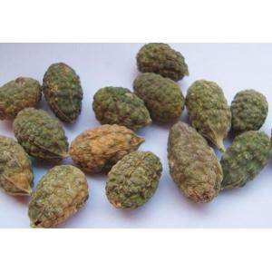 Capparis spinosa dried fruits,herb medicine
