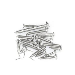 China DIN Standard Phillips Pan Head Pozi Drive Type AB Thread Self-Tapping Screws for Sal supplier