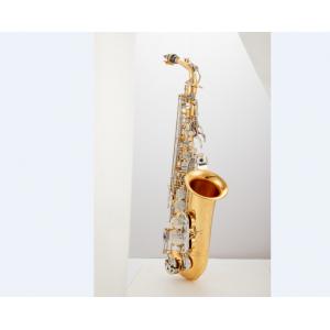 Professional Woodwind Instrument Alto Saxophone How much does a professional alto saxophone cost?