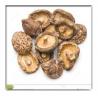 Высушенный гриб, едябле гриб, высушенные кампестрис Агарикус, высушенный гриб ши