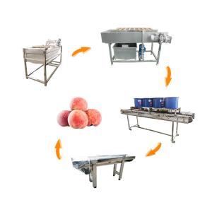 China Hot selling Bubble Cleaning Machine Reselling For Butternut Squash by Huafood supplier