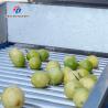 China Máquina clasificadora de fruta y verdura de manzana, maracuyá y verdura, mandarina, maracuyá, aguacate, cereza, mango, pera, plátano, mangostán, kiwi, fruta, naranja, verdura, lechuga, col, apio, col rizada, Clasificación wholesale