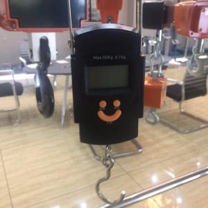 China Balanza portátil digital de gancho de mano con luz azul Mini LCD 50kg / 10g Balanza de pesca colgante electrónica soporte personalizado wholesale