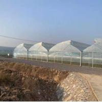 China Long Lifespan 3-5 Years Greenhouse with Plastic Film UV Protected on sale