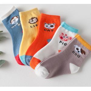 China Cotton School Socks Asian Boy Colorful Socks Girl Jacquard Crew Sock supplier
