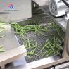 Línea de procesamiento de frutas y verduras de plata para procesamiento de verduras