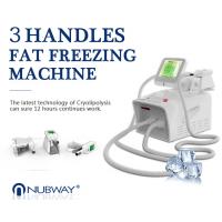 Professional home use portable liposuction cryolipolysis cryotherapy slimming machine