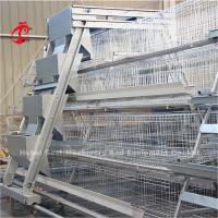 China Automatic Egg Layer Chicken Farm Laying Hens Poultry Battery Cages Rose on sale