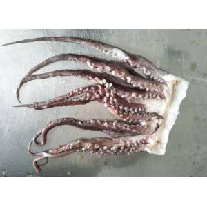 Frozen Giant Squid Tentacle 5 Cuts Bqf Dosidicus Gigas Peru Squid Dancer Cut