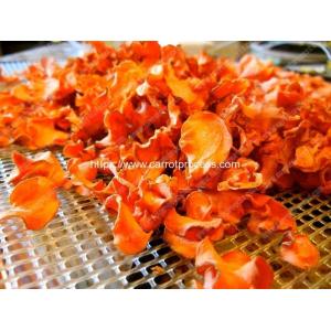 Full Automatic Dehydrated Carrot Chips Production Line