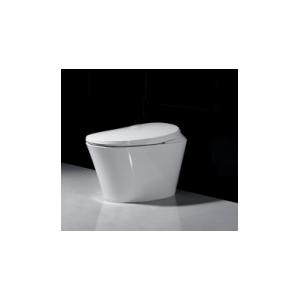 Ceramic Sanitary Ware Modern Bidet Toilet / Soft Close Smart Bidet Toilet