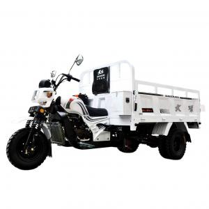 China DAYANG Chongqing Gas Engine Water-Cooled Tricycle Truck for Africa Market 3 Wheels supplier
