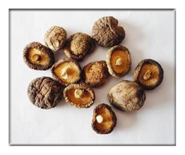 Высушенный гриб, едябле гриб, высушенные кампестрис Агарикус, высушенный гриб ши