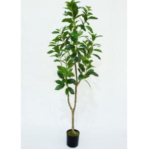 4 Ft Artificial Indoor Plants , Artificial Trees For Living Room Plastic Grow Pot Base