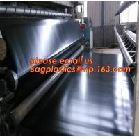 China geomembrane dam liner/ HDPE reinforced hdpe geomembrane fish farm pond liner for for sale