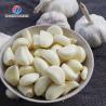 China Garlic Peeling processing production Machine minced garlic processing production wholesale