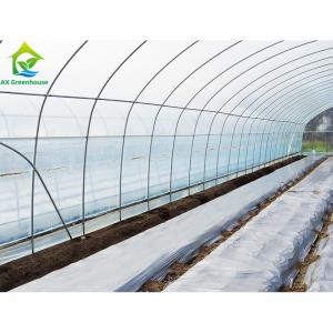 Customized Commercial Poly Tunnel Greenhouse 10*30 Square Meters For Cucumber