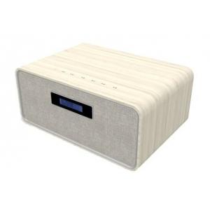 China 6.5 active speaker with DSP, microphone and remote control Q6 supplier