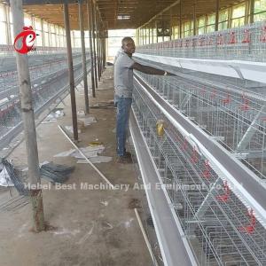 China Layer Farming Use 2 Tier Battery Cage Poultry House Hot Dip Galvanized Sandy supplier