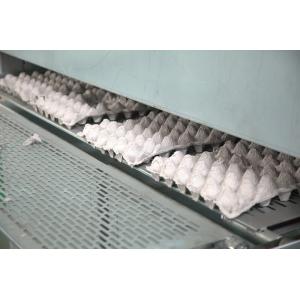 China Small Pulp Molding Machine , Egg Tray Production Line , Egg Tray Machine supplier