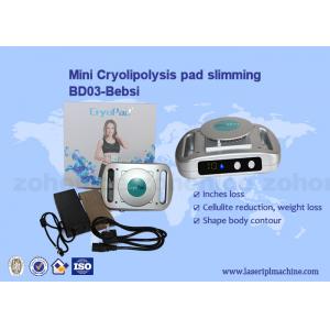 China Home Use Mini Cryolipolysis Machine 220v / 110v Slimming supplier