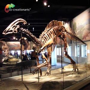 China Waterproofing Jurassic World Replica Parasaurolophus Skeleton 15 meters length supplier